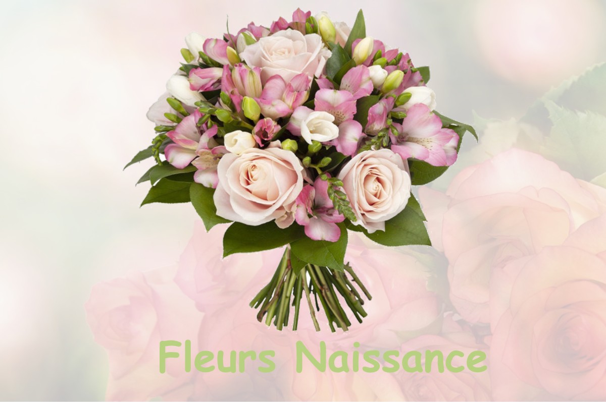 fleurs naissance LA-CROIX-HELLEAN