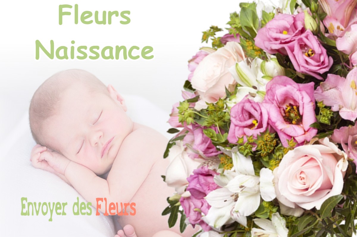 lIVRAISON FLEURS NAISSANCE à LA-CROIX-HELLEAN